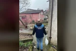 Beykoz’da ele geçirilen 204 kasa balık ihtiyaç sahiplerine dağıtıldı
