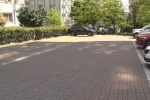 Beylikdüzü’nde başıboş köpekler vatandaşı kovaladı