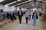 Beylikova Kaymakamı Kantilav, hayvancılık faaliyetlerini inceledi 