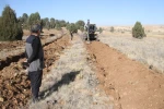 Beyşehir’de 11 bin orman fidanı daha toprakla buluşturulacak