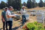 Beyşehir’de arılı kovanlar tek tek sayılıyor