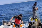 Beyşehir'de hem gölden hem karadan denetimler