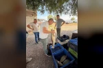 Beyşehir Gölü'nde avlanan balıklar tek tek kontrol edildi