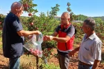 Beyşehir’de hasat öncesi pestisit denetimleri