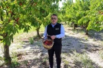 Bilecik’te 27 bin dekarda yıllık yaklaşık 15 bin 500 ton kiraz üretimi
