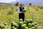 Bilecik’te 62 bin tonluk karpuz hasadı bekleniyor