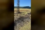 Bilecik’te anız yangını