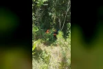 Bilecik’te ATV dere yatağına uçtu: 3 yaralı