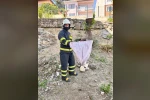Bilecik’te caddede yakalanan ’oluklu kertenkele’ doğaya salındı