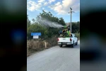 Bilecik’te haşerelere karşı ilaçlama çalışması yapıldı