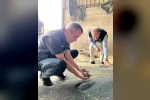 Bilecik’te kanola ve ayçiçeği alımları hız kazandı