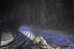 Bilecik’te kar yağışı nedeniyle köy yolu kapandı