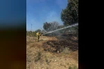 Bilecik’te ot yangını korkuttu