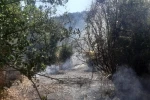 Bilecik’te otluk alanda yangın çıktı