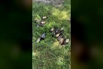Bilecik’te piknikçiler alanı çöplüğe çevirdi: Doğa ve kamu malı zarar gördü 