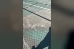 Bilecik’te spor kompleksinin hali işler acısı
