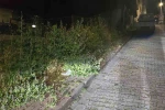 Bilecik’te vatandaşlar otlardan kaldırımda yürüyemiyor