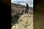 Bilecik’te yangın sahalarında ağaçlandırma çalışmaları incelendi
