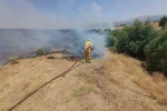 Bingöl’de 5 ayrı noktada çıkan yangınlar söndürüldü