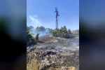 Bingöl’de çıkan orman yangını büyümeden kontrol altına alındı