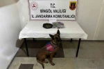 Bingöl’de haklarında kesinleşmiş hapis cezası bulunan 4 zanlı tutuklandı