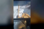 Bingöl’de mevsiminin ilk karı yağdı: Ekipler hemen harekete geçti 