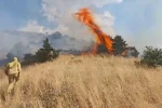 Bingöl’de orman yangını