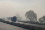 Bingöl’de sis etkili oldu 