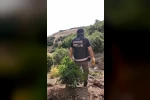 Bingöl’de uyuşturucu operasyonu: 3 şüpheli tutuklandı