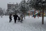 Bingöl’de yoğun kar yağışı 