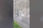 Binlerce yıllık surlara gelişigüzel yazılar yazdılar