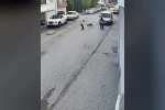 Bir anda koşup havlayan köpek küçük çocuğu korkuttu
