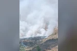 Bitlis’te dağlık alanda yangın: Binlerce arı telef oldu