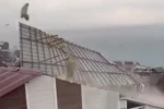 Bitlis’te dolu ve fırtına