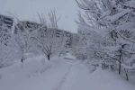 Bitlis’te kar esareti, 229 köy yolu ulaşıma kapalı 