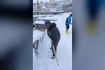 Bitlis’te kar temizliği türkü ile renklendi