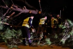 Bodrum Belediyesi fırtına dinlemedi