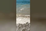 Bodrum’da deniz kirliliği: "Başsavcılık soruşturma başlattı"