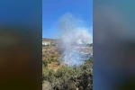 Bodrum’da makilik yangını