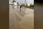 Bodrum’da sağanak baskını: Gölet taştı, asfalta balık yağdı