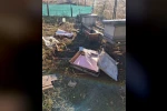 Bolu’da aç kalan ayı arı kovanlarını parçaladı