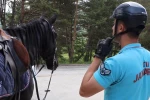 Bolu’da atlı jandarma timleri görev başında