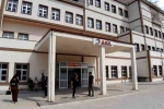 Bolu’da ayı saldırısında 1 kişi yaralandı: Saldırı sonrası av kararı