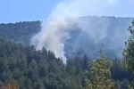 Bolu’da çıkan orman yangını kısa sürede söndürüldü