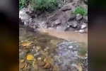 Bolu’da kanalizasyon sularının dereye karışmasına tepki