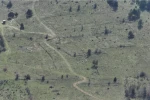 Bolu’da kayıp hayvanlar dronla bulundu