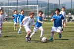 Bolu’da Mini Minikler Futbol Turnuvası heyecanı başladı