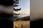 Bolu’da orman yangını