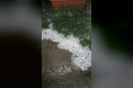 Bolu’da sabaha karşı yağan dolu yeşil alanları beyaza bürüdü