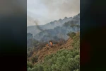 Bozdoğan'da orman yangını